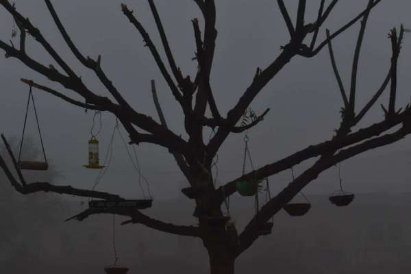 कोहरे के चलते हाइवे पर रेंगते रहे वाहन