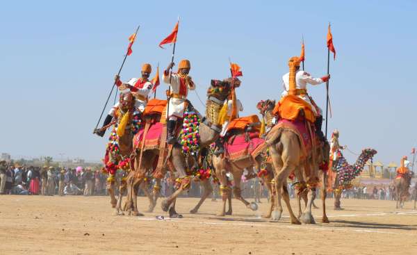 कैमल टेटू शो