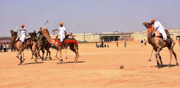 कैमल पोलो