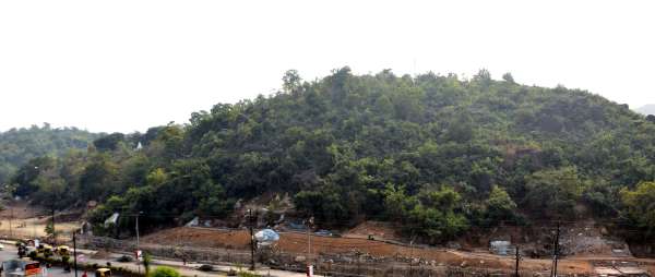 पहाढ़ी मे हरियाली  