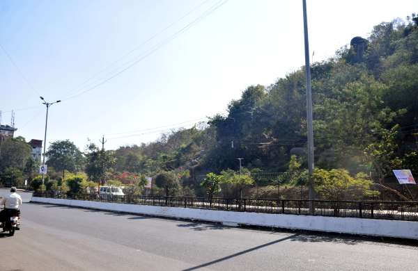 पहाढ़ी मे हरियाली  