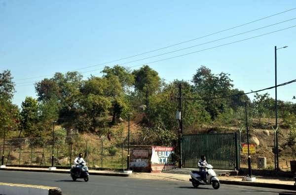 पहाढ़ी मे हरियाली  