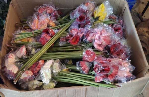 इस साल गुलाबों की कीमत भी दोगुनी है। गुलाब के फूलों से प्यार का इजहार करना इस साल महंगा हो गया है।