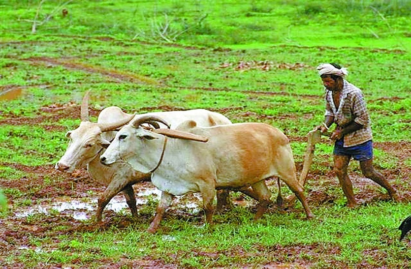 Rajasthan budget 2023- किसानों के लिए खोला पिटारा- दो हजार यूनिट प्रतिमाह बिजली का उपयोग करने वाले किसानों को मिलेगी मुफ्त बिजली