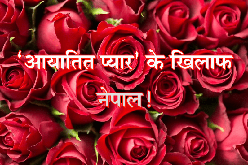 nepal-bans-rose-imports-from-india-china-ahead-of-valentine-s-day.png