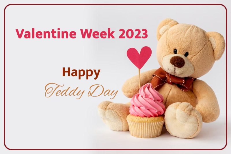 teddy_day_2023.jpg
