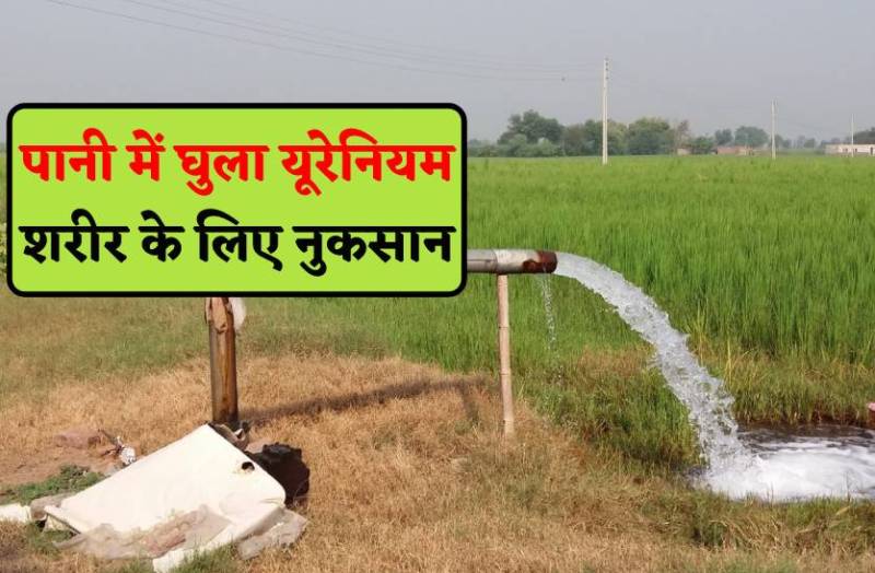 पीने के पानी में घुला यूरेनियम, किडनी-लीवर सहित कैंसर का भी बढ़ रहा खतरा
