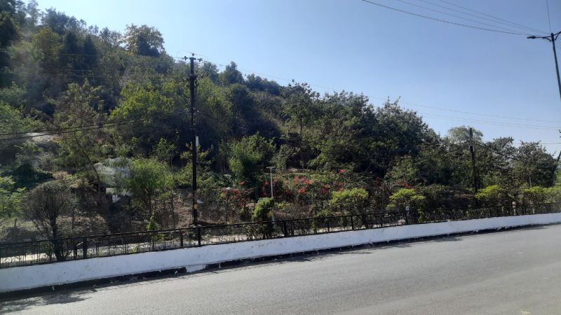 weather latest updates