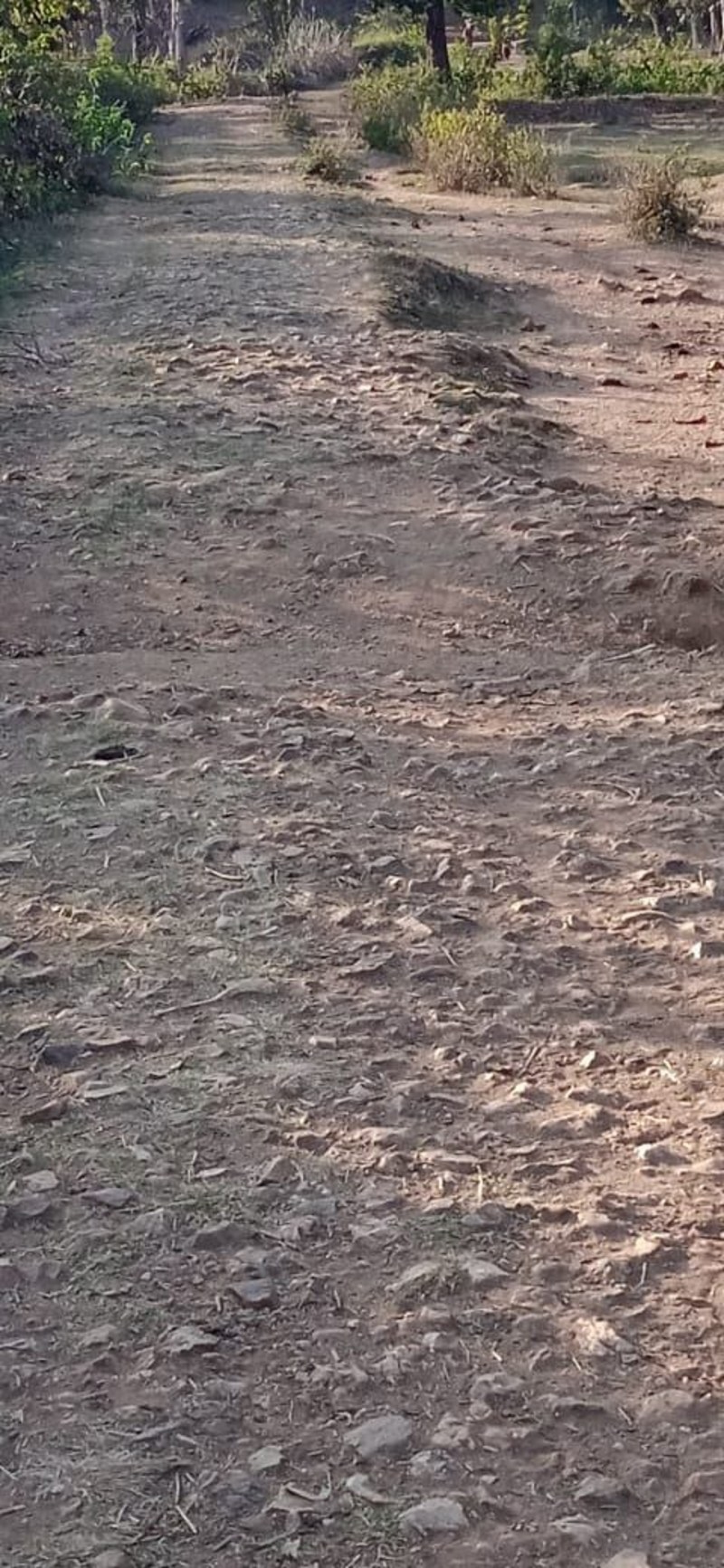 जहां से शुरू हुई विकास यात्रा, वहां चलने को सड़क नहीं, 200 फीट नीचे खाई से पानी भरते हैं आदिवासी