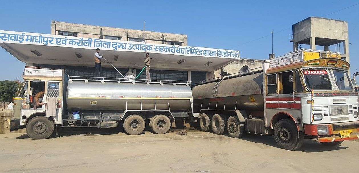 डेयरी से रोजगार पर सरकार का जोर, सहकारी संघ के प्रयास कमजोर