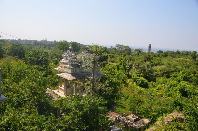 दुर्ग स्थित नीलकंठ महादेव वन क्षेत्र को होगा विकास