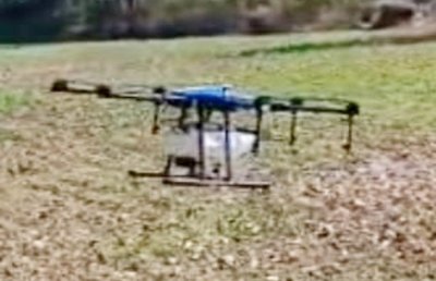 रिमोट कंट्रोल से ऑपरेट होता ड्रोन छिड़काव करता हुआ।