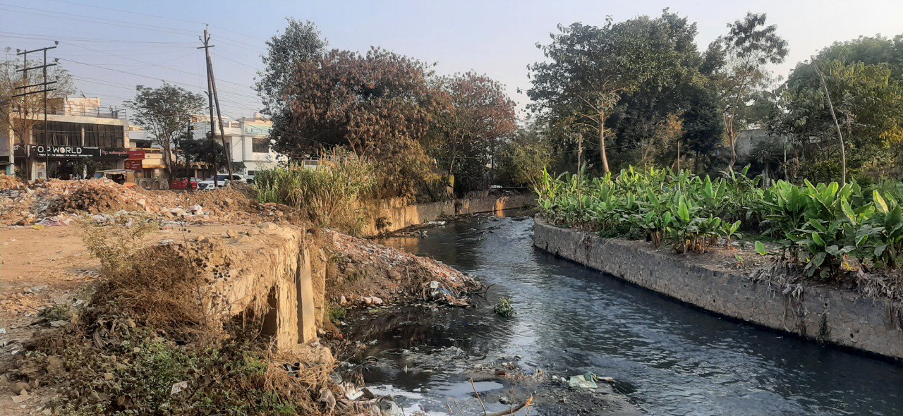 Irrigation of vegetables with drain water, danger of deteriorating health