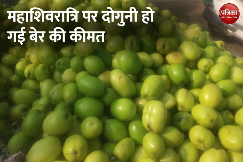 महाशिवरात्रि 2023: पूजा के लिए बेर और बेल की बढ़ी मांग तो दोगुना हुए दाम