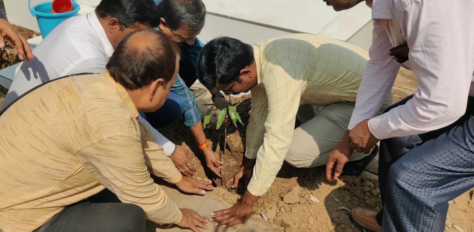अंकुर अभियान में जिले भर में रोपे छह हजार 621 पौधे, एमजेएस में 11