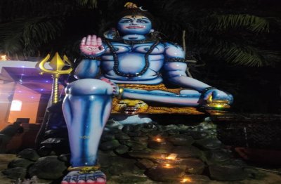 भक्तों ने जल, दुग्ध, शहद, घी, बेलपत्र, पुष्प से  भोलेनाथ का हवन पूजान  किया