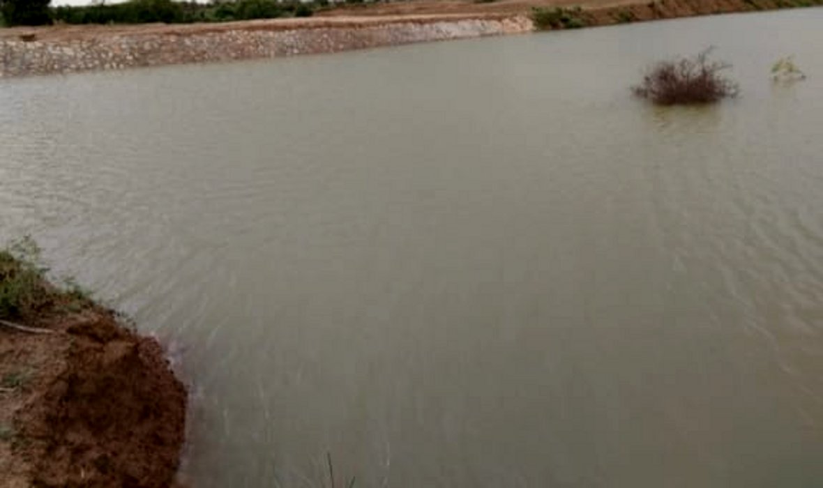पांच करोड़ रुपए की लागत से बने तालाबों से सिंचित होगी 50 हैक्टेयर भूमि
