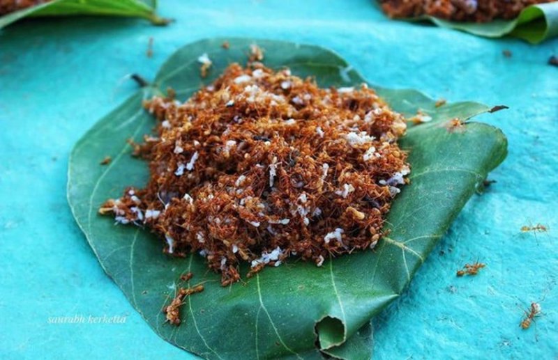 चापड़ा चटनी