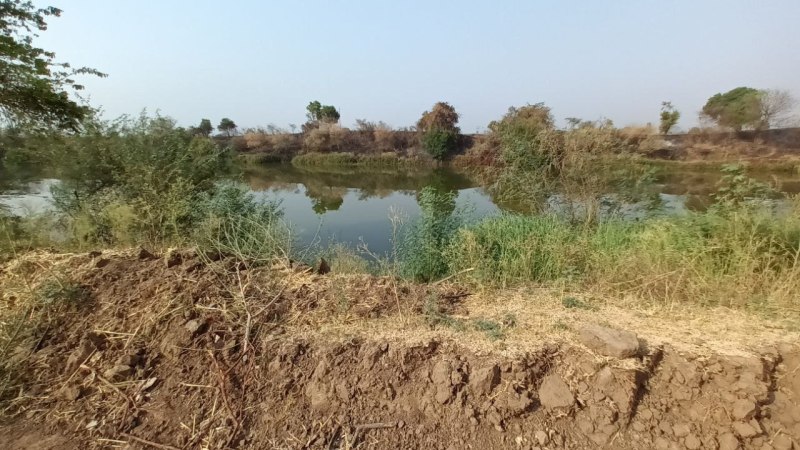 बेतवा का कटाव रोकने अब सामाजिक वानिकी ने उठाया बीड़ा