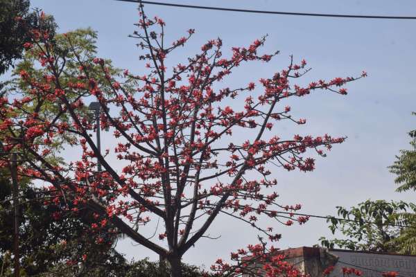 तपने लगा सूरज  मौसम 