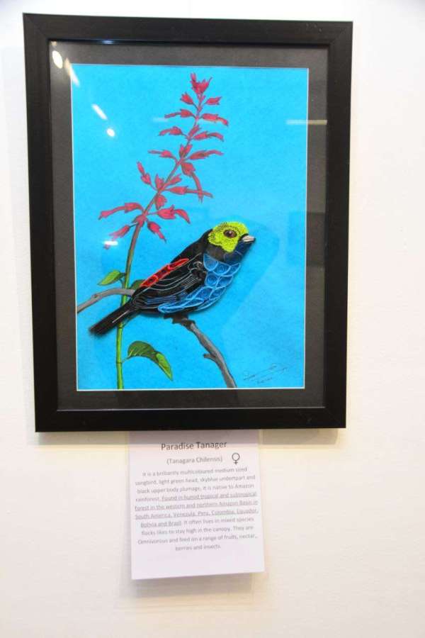 Painting Exhibition in Rang Rajasthan kaagajee Parinde