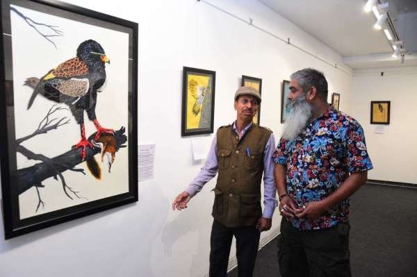 Painting Exhibition in Rang Rajasthan kaagajee Parinde