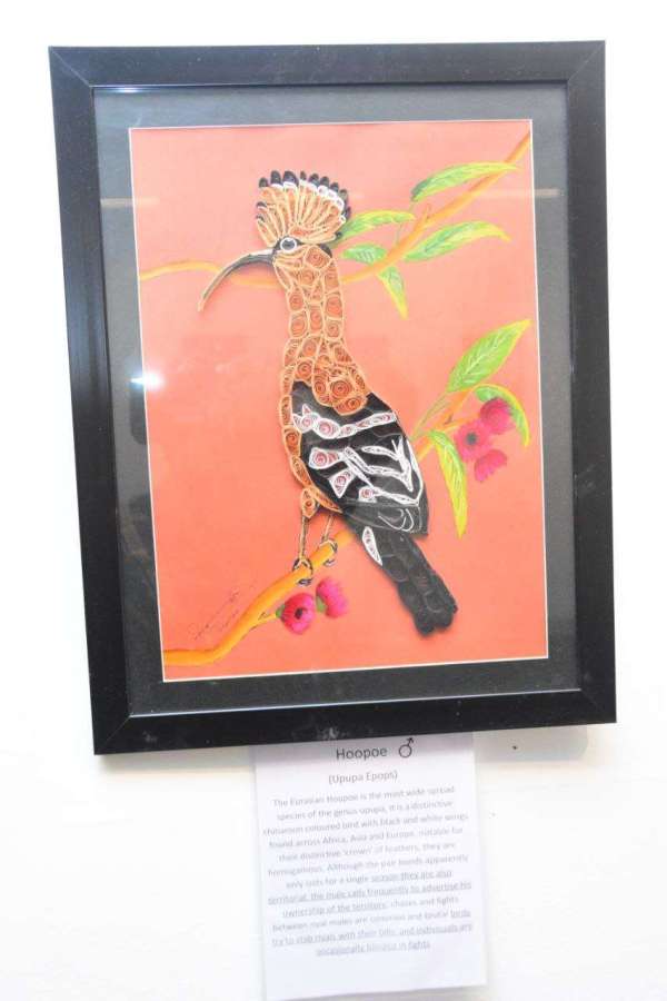 Painting Exhibition in Rang Rajasthan kaagajee Parinde