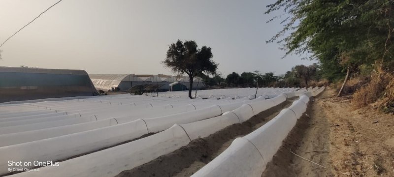 लो टनल खेती से किसान ले रहे फायदा