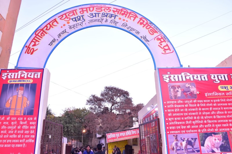 पशु आश्रम खोल लाचार जानवर व पक्षियों का जीवन बचा रहे युवा, नए विभाग का उद्घाटन आज