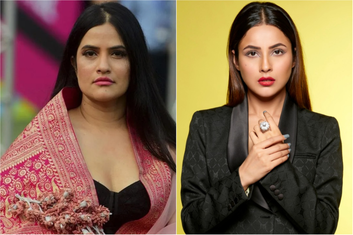 shehnaaz gill get troll