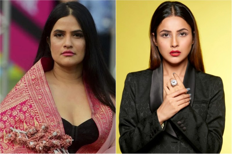 shehnaaz gill get troll