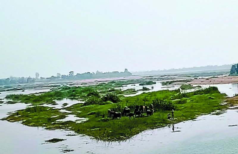 विभागीय उदासीनता के चलते नवागांव एनीकट में पानी की कमी, क्षेत्रवासियों को गर्मी में जलसंकट से पड़ेगा जूझना