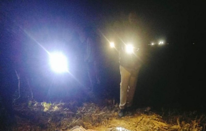 Elephants killed 2 young man