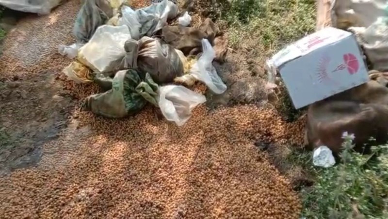 अवैध मदिरा के विरुद्ध जिला आबकारी की चार ठिकानों में दबिश