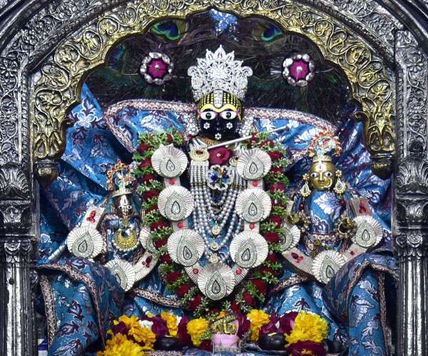 किन्नरों ने बंशीवाला के दरबार में फाग गाकर बरसाया होली का रंग