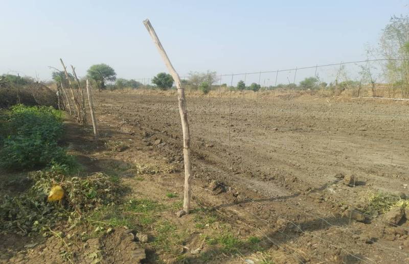 अब टीएसपी जिलों में ढाई बीघा के खेतों में भी हो सकेगी तारबंदी