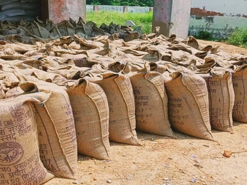 यूपी में एक अप्रैल से शुरू होगी गेंहू की खरीद, न्यूनतम समर्थन मूल्य 2125 रुपए निर्धारित