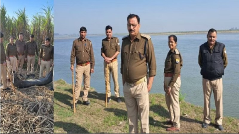 Holi 2023 :  होली से पहले नकली शराब का कारोबार, हजारों लीटर शराब बरामद