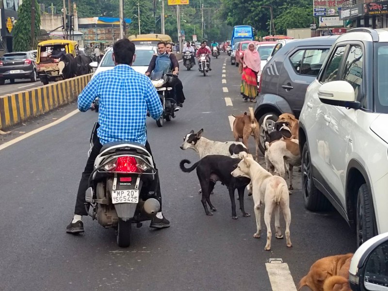 Corporation's claim of catching 20 'vagrants' every day failed