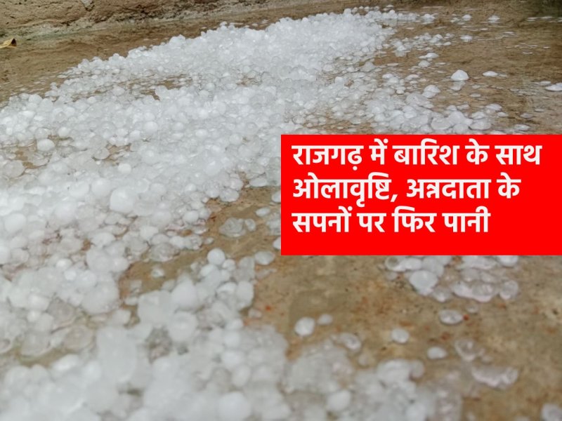 राजगढ़ में आसमान से बरसी मुसीबत, बारिश और ओले से फसलें चौपट, देखें वीडियो...
