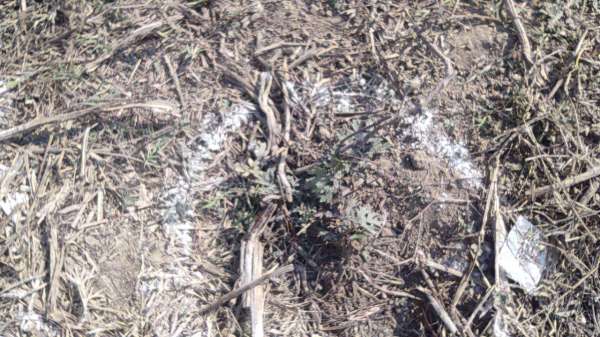 Shooter Usman Encounter Place Prayagraj