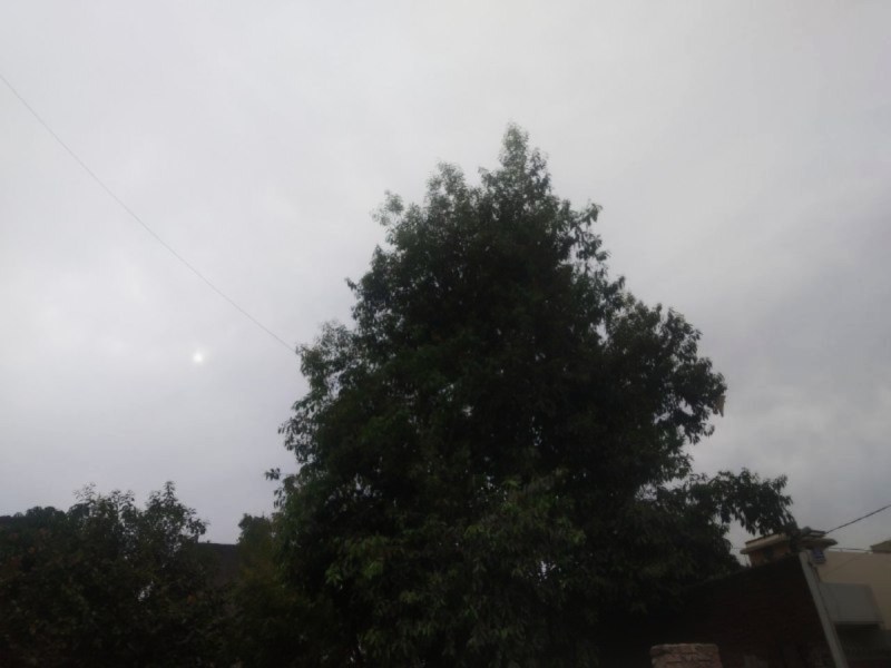 Holi Weather: होली पर इन जिलों में चलेगी ठंडी हवाएं, पहाड़ों की बारिश का मौसम पर पड़ा असर