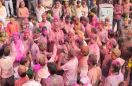 हर्षोल्लास से मनाया रंगों का त्योहार