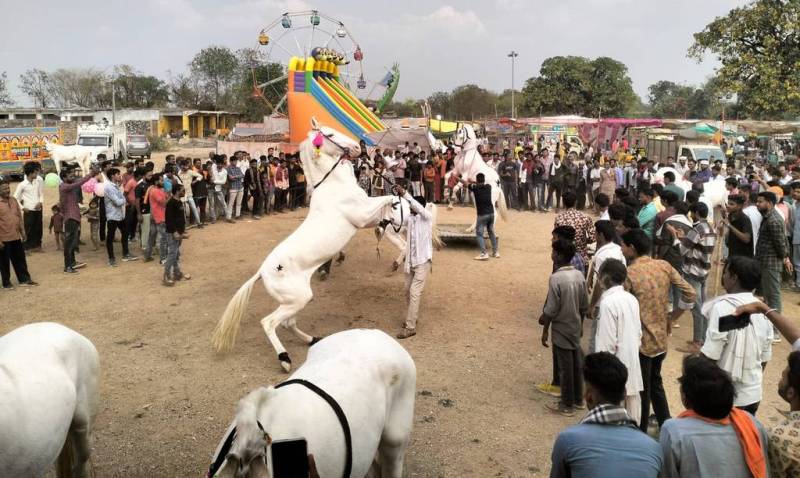 गंगेश्वर मेले में गांवों से पहुंचे लोग, अश्व प्रतियोगिता आयोजित