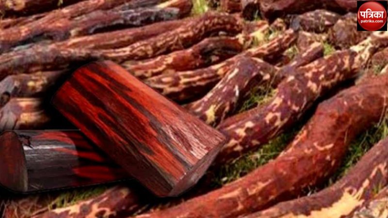 2 कुंटल से ज्यादा चंदन की लकड़ी के साथ तीन भाई गिरफ्तार, दो फरार