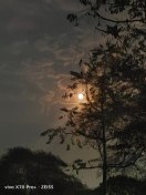 बदल रही है हवा की दिशा, कई जिलों में बारिश, छाए रहे बादल