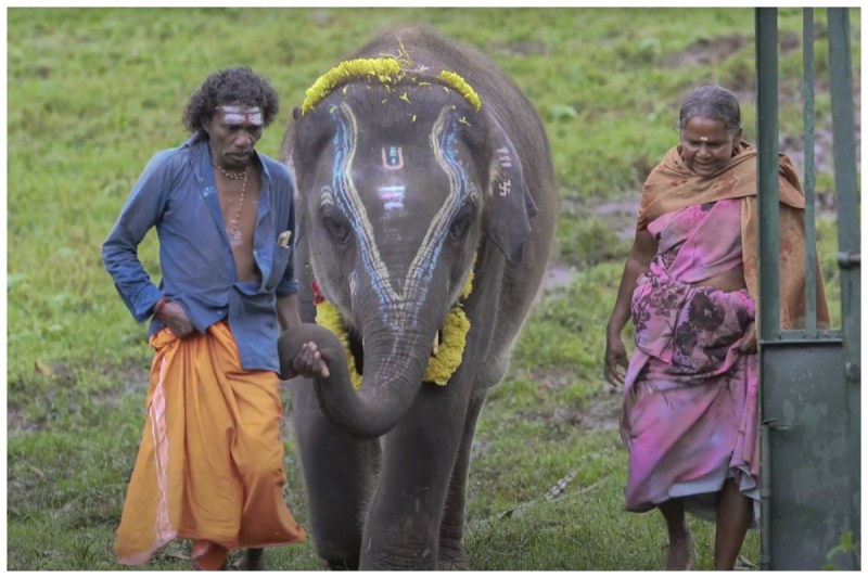 The Elephant Whisperers