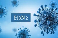 h3n2_virus.jpg