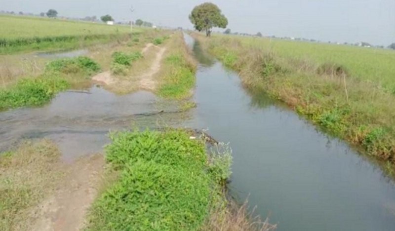 सुबह देखा तो नहर ओवरफ्लो, खेत में भरा था पानी