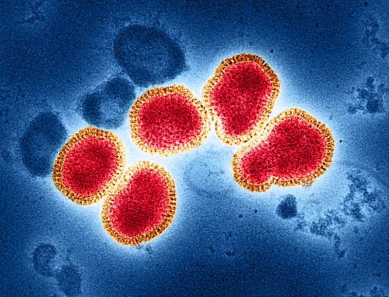 H3N2 influenza